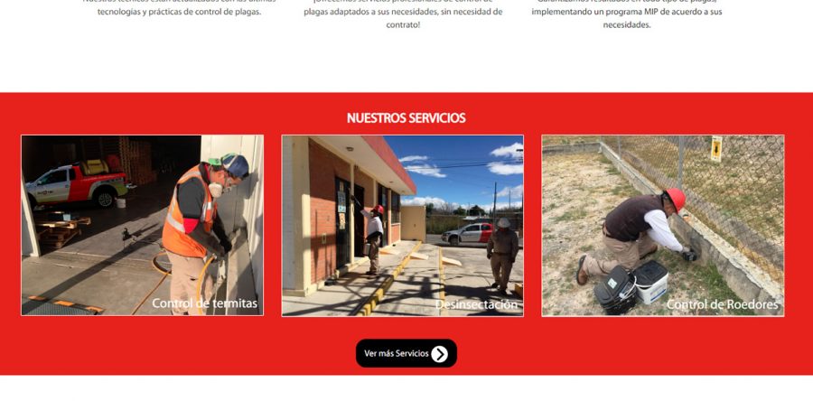 Protek Control de Plagas