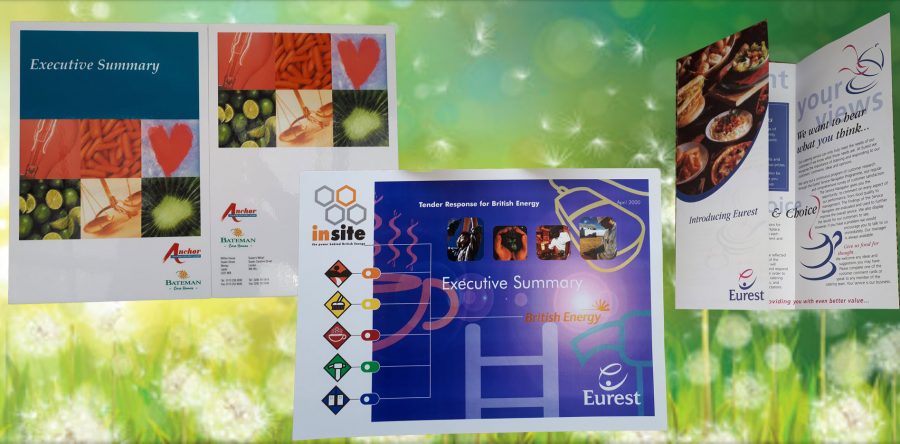 Executive summary Anchor